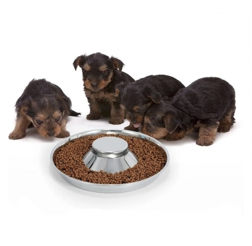 Bol de hranire din otel inoxidabil pentru catei - L