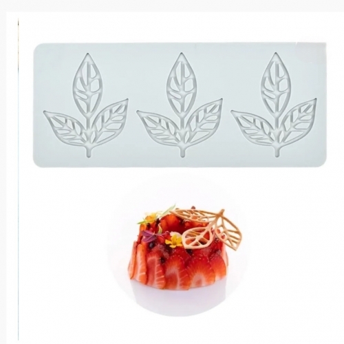 Forma silicon-Frunze