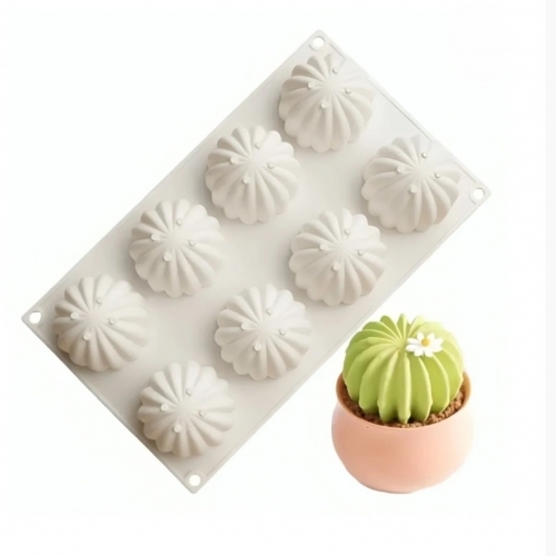 Forma silicon-6 Cactusi