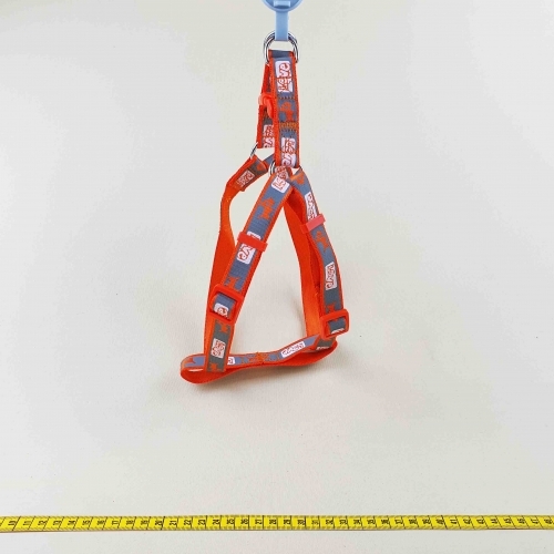 Ham cu model-caine,iubire