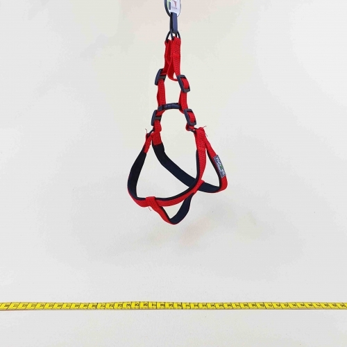 Ham cu doua culori-mediu