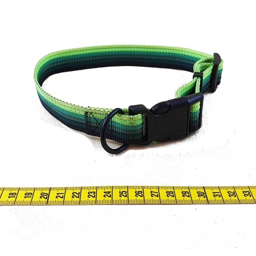 Zgarda colorata-mare