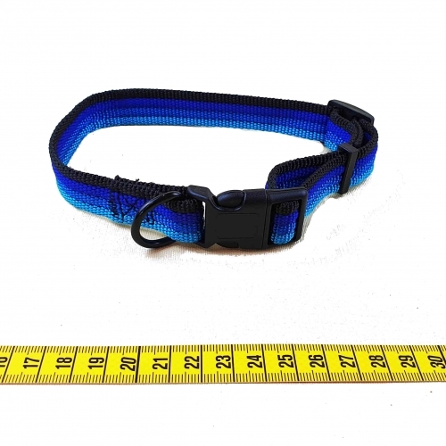 Zgarda colorata-medie