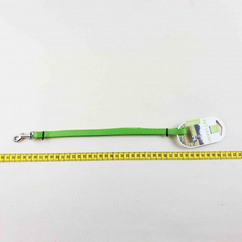 Zgarda colorata-mica