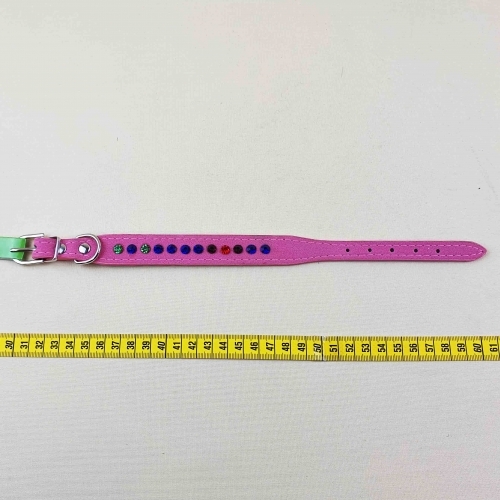 Zgarda-pietroasa,mica