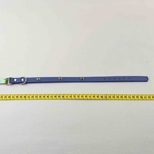 Zgarda-albastra,cenusie-mica