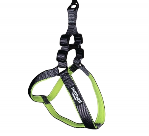 Ham pentru caini-M-Gri,Verde-Neon