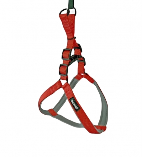 Ham pentru caini-S-Rosu-Gri